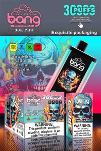 Bang Box 30000 PRO 30k puffs Dual Flavour vape