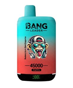 Bang Leader dual flavors 45000 Puffs Blueberry Black Dragon
