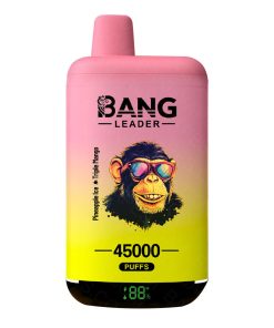 Podwójne smaki Bang Leader 45000 Puffs Pineapple Ice