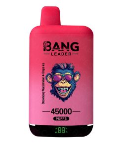Bang Leader dual flavors 45000 Puffs arbuz z jagodami