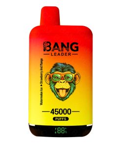 Bang Leader dual flavors 45000 Puffs arbuz truskawka mango