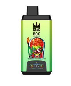 Bang Box 50000 Puffs Dual Flavor Disposable Vape watermelon bubble gum