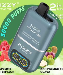 Fizzy Twins 50K Puffs Dual Flavors Disposable Vape Wholesale raspberry watermelon