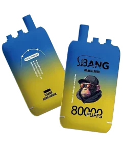 Bang Leader 80K Puffs 3 in 1 Triple Flavors Disposable Vape 1