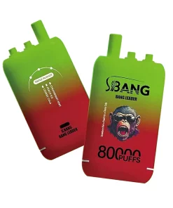 Bang Leader 80K Puffs 3 in 1 Triple Flavors Disposable Vape 10