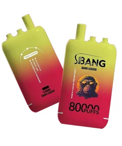 Bang Leader 80K Puffs 3 in 1 Triple Flavors Disposable Vape