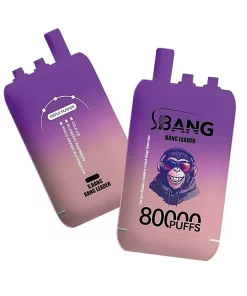 Bang Leader 80K Puffs 3 in 1 Triple Flavors Disposable Vape 4